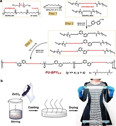 A Synthesis Of Polyurethane B Schematic Illustration Of The