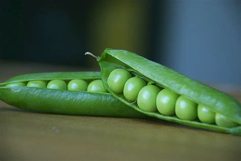 How Do Pea Pods Grow Garden Guides