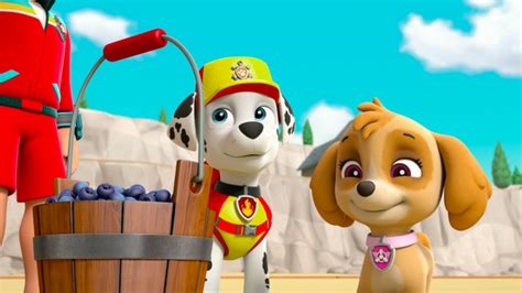 Image Paw Patrol 506a Scene 12 Marshall Skye Png Paw Patrol Wiki