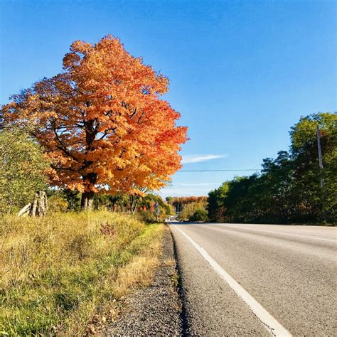 Caledon Fall Colours Tips For Viewing The Most Vibrant Colours