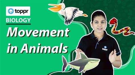 Movement And Locomotion In Different Animals Movement In Animals