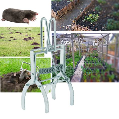 Mole Traps That Best, Vole Traps Outdoor Use Scissor Mole Traps for