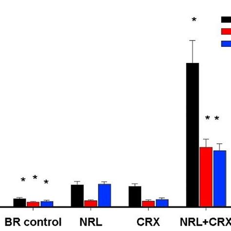 Inhibition of mitogen-activated protein kinase pathways affects neural ... 