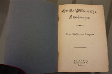 Antikes Buch Von Ottilie Wildermuth Kaufen Auf Ricardo