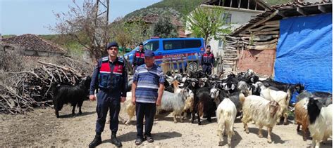 Son Dakika Haberi Tokat Ta Jandarma Ekibi Kaybolan K Kba