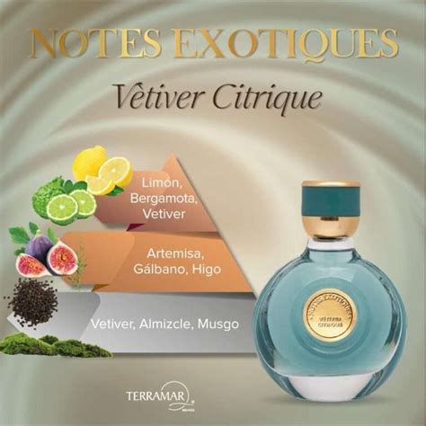 Perfume V Tiver Citrique Para Caballero Terramar Terramar