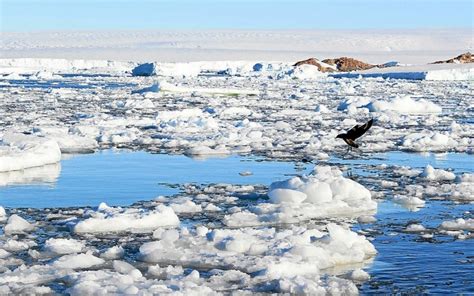 Antarctique La glace y fond plus vite que jamais Le Télégramme