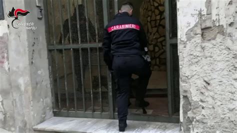 Napoli Servizio Straordinario Di Controllo Del Territorio Dei