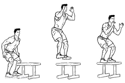 High Box Jump | Illustrated Exercise guide - WorkoutLabs