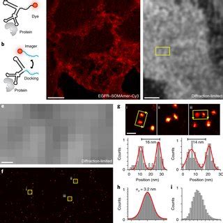 Somamers As Labeling Probes For Quantitative High Resolution Dna Paint