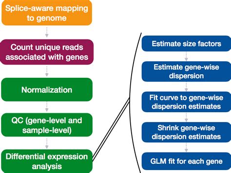 Gene Level Differential Expression Analysis With Deseq Introduction