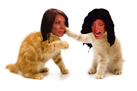 Real Housewives And Our Era Of Catfights