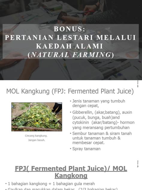 Natural Farming | PDF