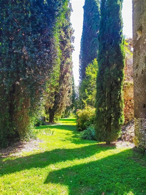 The Garden of Ninfa Italy stock image. Image of park - 228038791