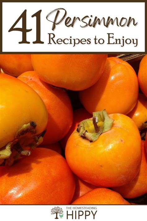 41 Persimmon Recipes to Enjoy