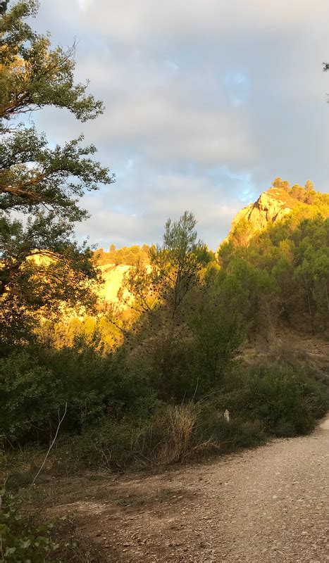 Puente La Reina Estella TV PICNIC NET