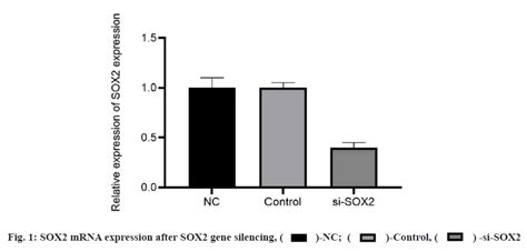 Effect Of Sex Determining Region Y Box 2 On The Biological