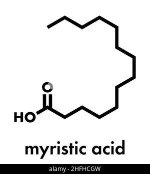 Myristic (tetradecanoic) acid molecule. It is saturated fatty acid ...