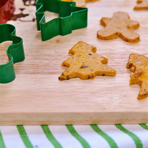 'Cheesy' Holiday Cat Treats [Recipe] | The Dog People by Rover.com