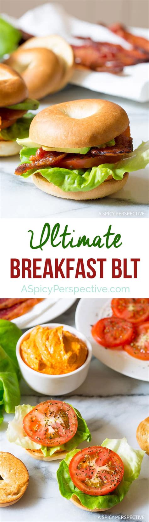 Ultimate Breakfast Blt A Spicy Perspective