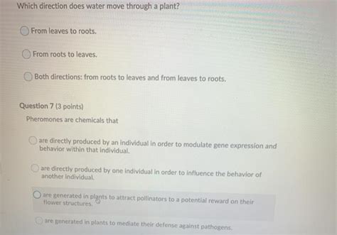 Solved Which Direction Does Water Move Through A Plant From Chegg