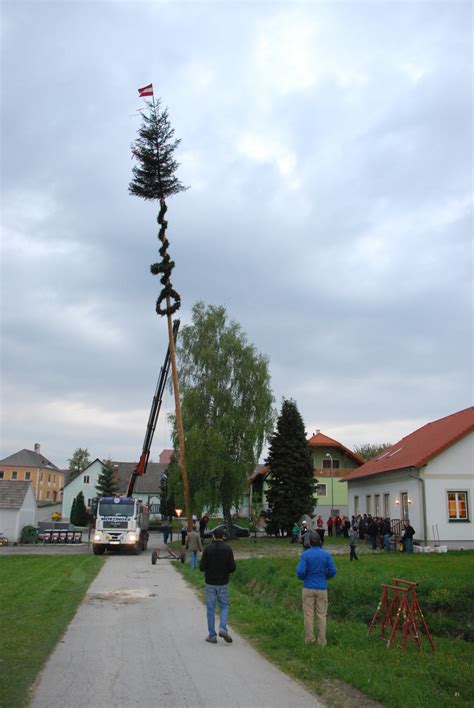 32 Meter hoher Maibaum in Gr Wolfgers Gmünd