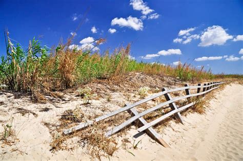 Pescoluse s beach stock image. Image of cane, clouds - 27171733