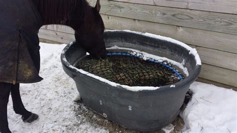 Diy Horse Slow Hay Feeder - Diy Closet Island