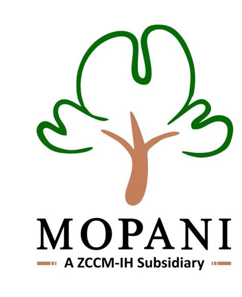 Zambia: MOPANI COPPER MINES RECORDS SECOND FATAL ACCIDENT WITHIN 48 ...