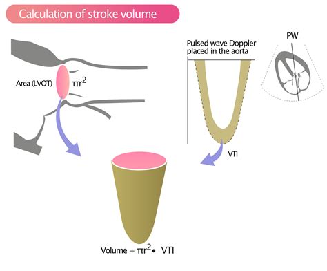 Valuation De La Fonction Systolique Du Ventricule Gauche M Decine