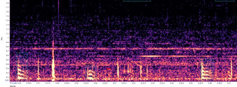 marine species - Help Identifying Low-Frequency Sound - Bioacoustics ...