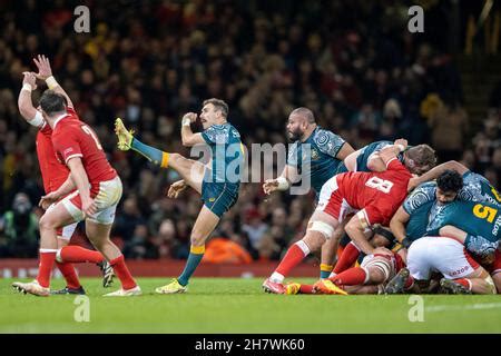 Wallabies' scrum half, Nic White feeds the ball into a Wallabies' scrum ...