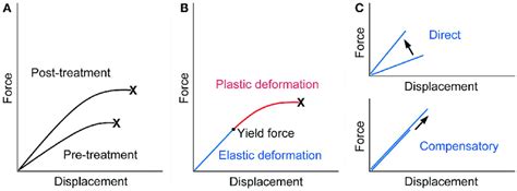 Force Displacement Curve Of A Bone A Treatment With An Ideal