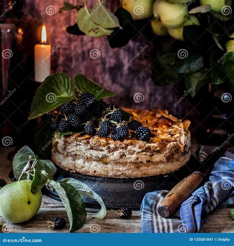 Rustic Apple Pie stock image. Image of delicious, homemade - 125081847