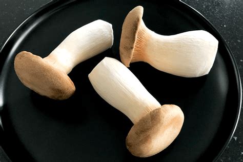 What Are King Oyster Mushrooms