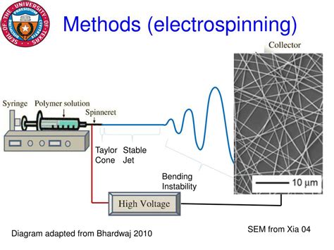 Ppt Elastic Conducting Polymer Composite Nanofibers Powerpoint