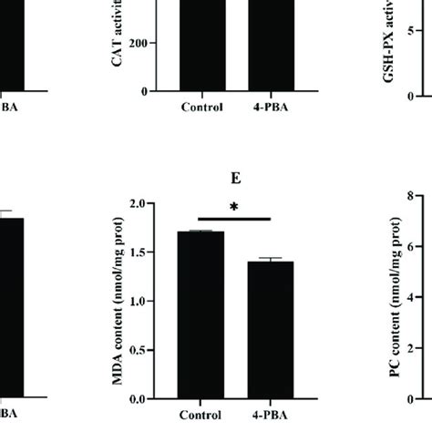 The Activities Of Superoxide Dismutase Sod A Catalase Cat B