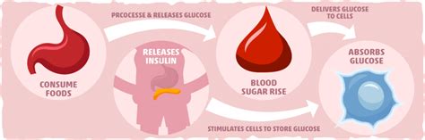 Insulin Resistance And Keto Diet Research And Treatment