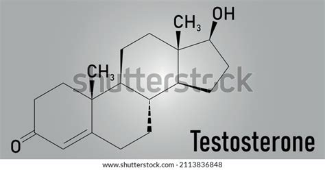 Testosterone Male Sex Hormone Androgen Molecule Stock Vector Royalty Free 2113836848