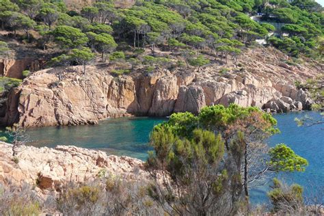 Pins Rochers Et Falaises Sur La Costa Brava Catalane En Mer