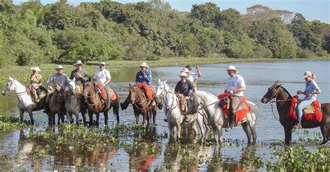 Pacote De Viagem Para Pantanal Sul Cavalgada Travessia Do Pantanal