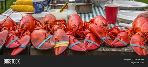 Lobster Feast Image & Photo (Free Trial) | Bigstock