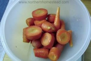 A Great Way To Freeze Carrots Northern Homestead