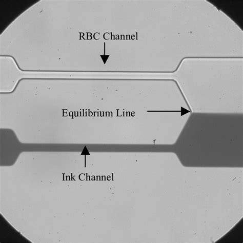 microfluidic device  scientific diagram