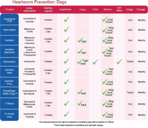 Best Flea Tick And Heartworm Medicine At Craig Alston Blog