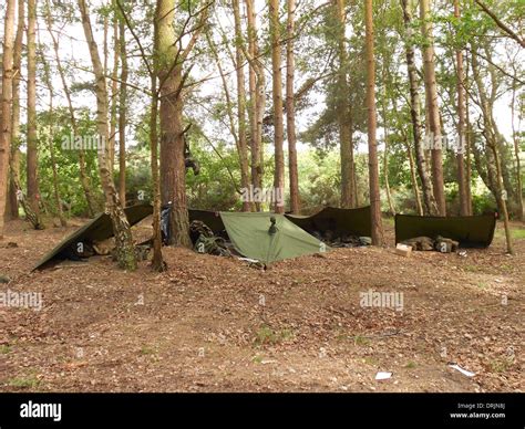 Military field camp. make shift shelter made with basha Stock Photo - Alamy