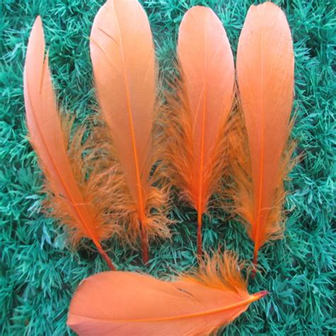 100pcs / lot 15 20 cm orange Goose feathers Geese feathers Big wave ...