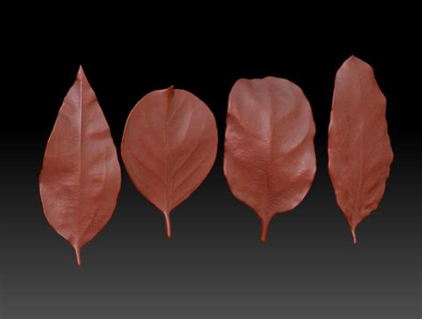 Leaf 3d Leaf Sculpture Map 3d Printed Leaves 3d Model 3d Printable