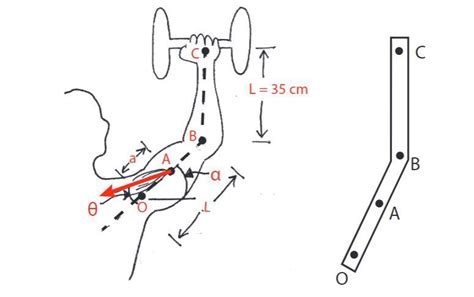 Solved Pts Analyze The Following Biomechanics Problem Chegg