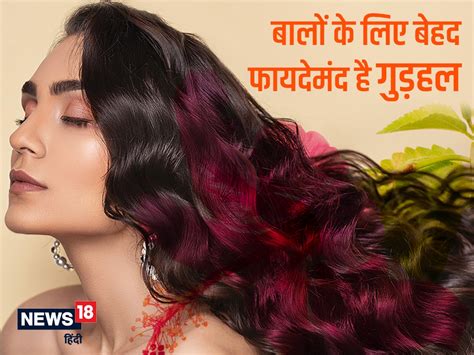 Gudhal Flower Benefits For Hair In Hindi Best Flower Site